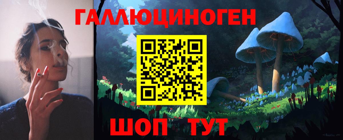 Псилоцибиновые грибы GOLDEN TEACHER  Вход с VPN  закладка  Тимашёвск 
